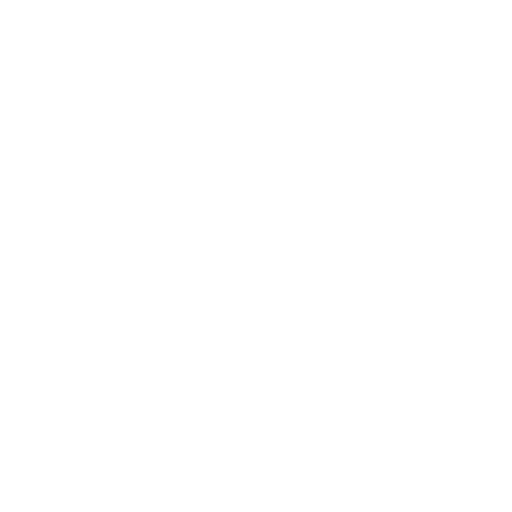 BACINI